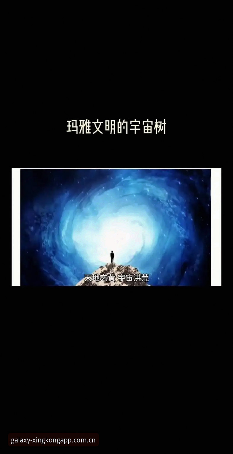 星空app登录不了安装教程 资深用户分享:星空app登录不了安装教程的完整解决方案与实战心得
